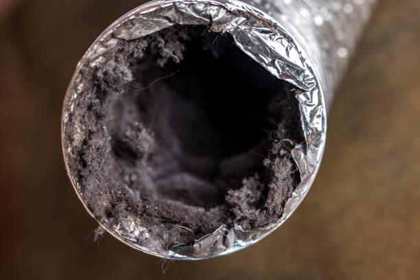 Best Best Air Duct Cleaning Company  in Manton, MI