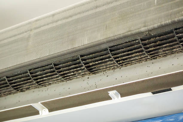 Best HVAC System Cleaning  in Manton, MI